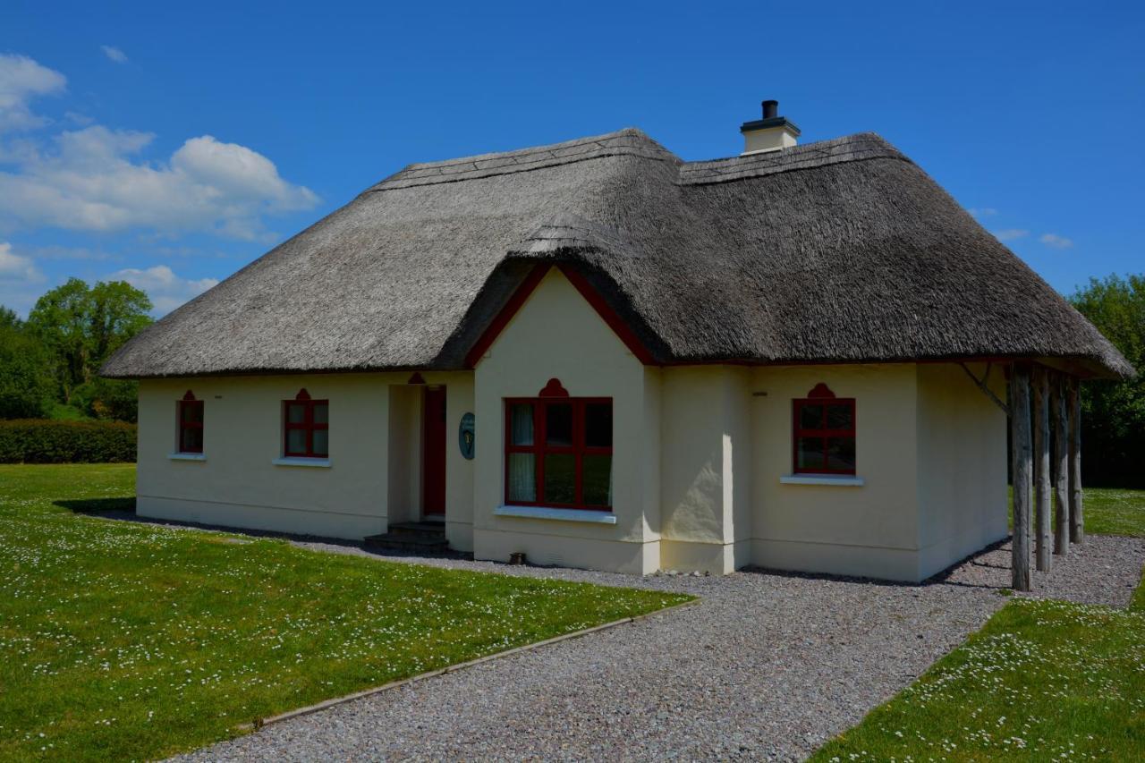 Amber Cottage Killarney Extérieur photo